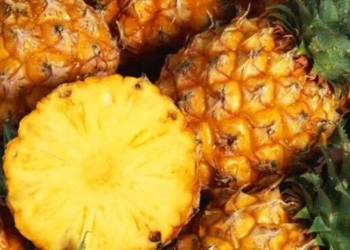 Ini Sederet Manfaat Rajin Makan Buah Nanas