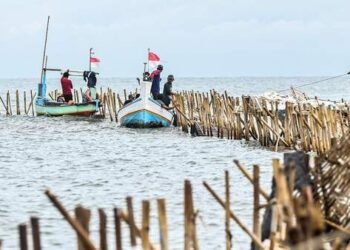 TNI AL Tuntaskan Pembongkaran Pagar Laut Misterius