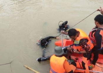 Truk Jatuh di Pelalawan, Sudah 15 Korban Ditemukan Meninggal