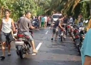 6 Warga Labura Tertimpa Pohon, 2 Tewas di Tempat