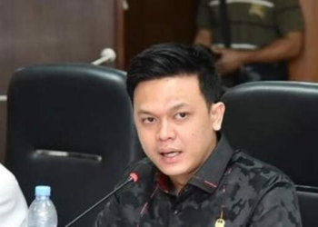 Berkelahi dengan Dodi di DPRD Medan, Begini Penjelasan David Roni