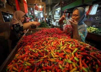 Kementan Klaim Harga Cabai Segera Turun