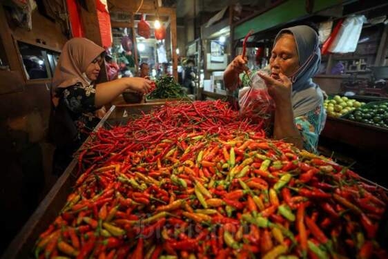 Penjualan cabai.
