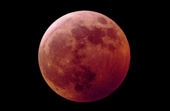 Worm Blood Moon. 