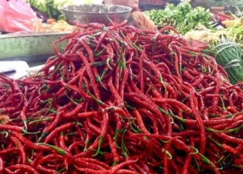Harga Bahan Pokok di Sumut Anjlok!