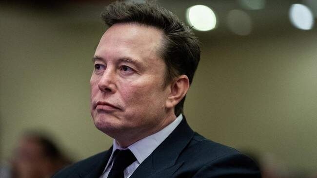 Miliarder Elon Musk.