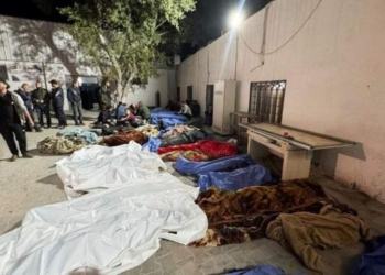 Dibombardir Israel: 436 Warga Gaza Tewas, 183 Anak-anak