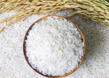 Duh! Beras Premium Ternyata Isinya Medium