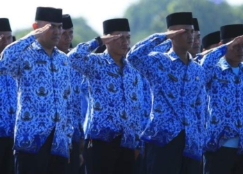 Pengangkatan CPNS dan PPPK 2024 Diundur