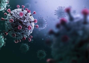 Ilmuwan Temukan Virus Corona Baru!