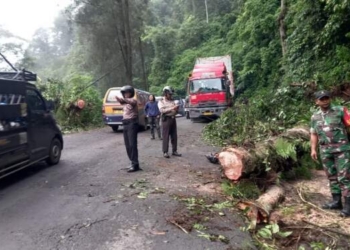Mudik 2025, Ada 147 Titik di Sumut Rawan Macet-Kecelakaan