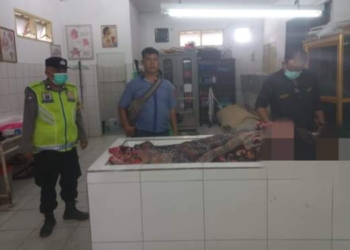Wanita Lansia di Sinaksak Simalungun Tewas Diduga Tertabrak Kereta Api 