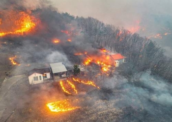 Kebakaran Hutan di Korsel Makin Parah, 24 Orang Tewas-12 Luka