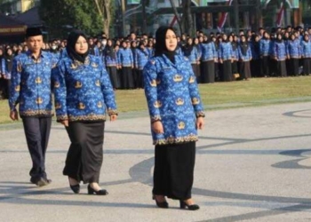 Pengangkatan CPNS Juni 2025, PPPK Oktober
