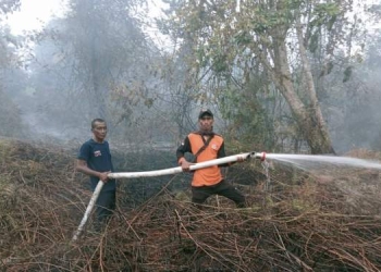Kebakaran di Aceh Barat Hanguskan 2,5 Ha Lahan
