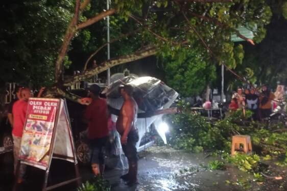 Pohon tumbang menimpa mobil.