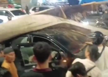 Pohon Tumbang Timpa Mobil di Gatot Subroto Medan