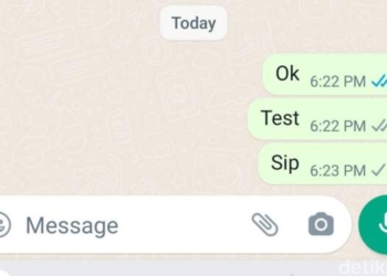 WA Centang 1 tapi Tetap Online? Begini Cara Membuatnya