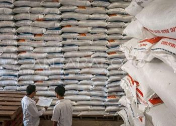 Cadangan Beras Indonesia Capai 2,5 Juta Ton