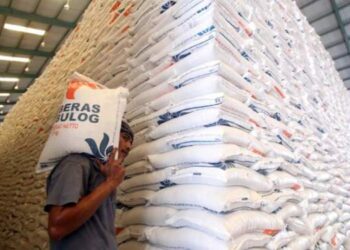 Stok Beras RI Tertinggi dalam 23 Tahun
