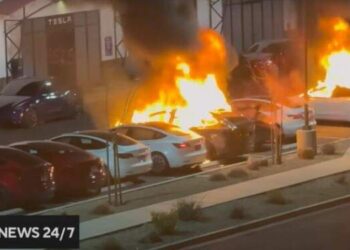 Protes Trump-Elon Musk, Dealer Tesla Dirusak-Mobil Dibakar