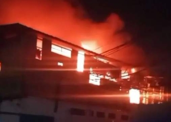 Pabrik Ikan PT Yasuriang Samudera Rezeki di Belawan Terbakar