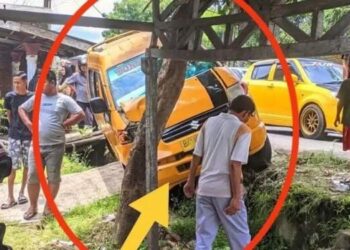 Tragis! Angkot di Binjai Tabrak Pohon, Siswa SD Tewas Terjepit