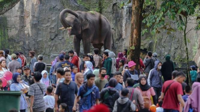 Pengunjung Taman Margasatwa Ragunan, Jakarta.