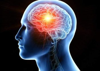 Kenali Pendarahan Otak, Penyebab Titik Puspa Meninggal Dunia