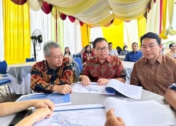Foto: Sofyan Tan Titip Pesan Jangan Persulit Perizinan 8
