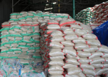 Stok Beras di Sumut Cukup 5 Bulan ke Depan