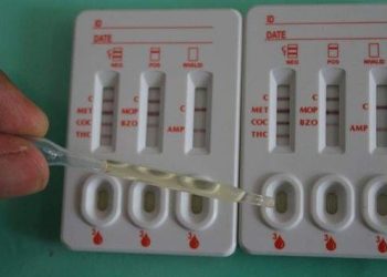 Duh! 4 Camat-Lurah di Medan Positif Narkoba