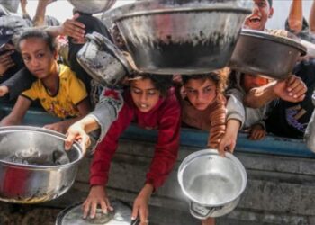 Puluhan Ribu Anak Gaza Terancam Kelaparan