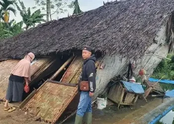 Foto: Hujan Deras dan Angin Kencang Robohkan Kandang Ayam dan Menelan Korban Jiwa 5