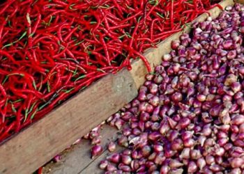 Harga Cabai-Bawang di Medan Relatif Stabil