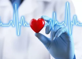 Foto ilustrasi jantung.(FamilyDoctor.org)