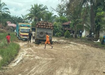 Jalinsum di Palas Puluhan Tahun Rusak Parah