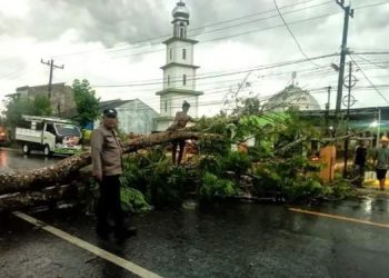 Jalan Lintas Medan–Aceh Sempat Lumpuh Total, Ini Penyebabnya
