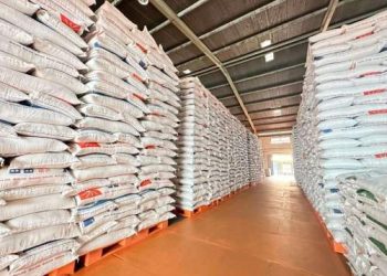 Stok Cadangan Beras RI Tembus 3,5 Juta Ton