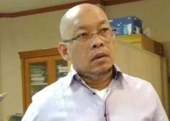 Anggota Komisi B DPRD Sumut, Aripay Tambunan. (istimewa)