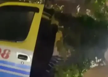 Foto: Ranting Pohon Tumbang Timpa Angkot, Satu Penumpang Cedera Parah 4