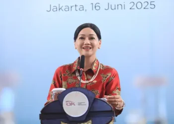 Kepala Eksekutif Pengawas Perilaku Pelaku Usaha Jasa Keuangan, Edukasi, dan Pelindungan Konsumen OJK Friderica Widyasari Dewi.(Dok:OJK)