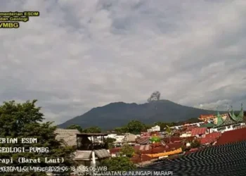Foto: Gunung Marapi di Sumbar Muntahkan Abu Vulkanik Sejauh 250 Meter 3