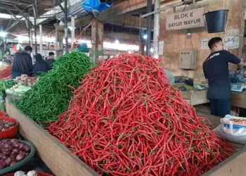 Foto: Harga Cabai dan Bawang di Pasar Tradisional Medan Mengalami Penurunan 3