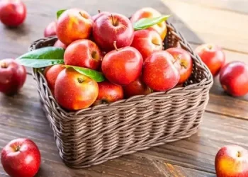 Foto: Ini Manfaat Buah Apel Bagi Kesehatan Tubuh 4