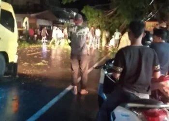 Foto: Pohon Besar Roboh, Jalan Lintas Sumatera di Langkat Macet 3