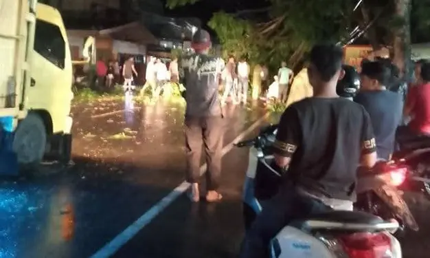 Foto: Pohon besar roboh, menutup sepenuhnya jalan utama lintas Sumatera di Desa Pelawi Selatan, Kecamatan Babalan, Kabupaten Langkat pada malam hari Kamis (19/6/2025).(Istimewa)