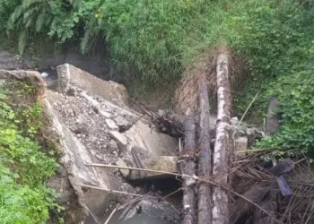 Foto: Jembatan Rusak, Akses Dua Kelurahan di Binjai Terputus 5