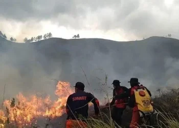 Foto: Lahan 30 Hektar di Haranggaol Horison Terbakar 3