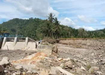 Foto: Kerusakan Irigasi di Paluta Hancurkan Ratusan Hektare Lahan Pertanian 7